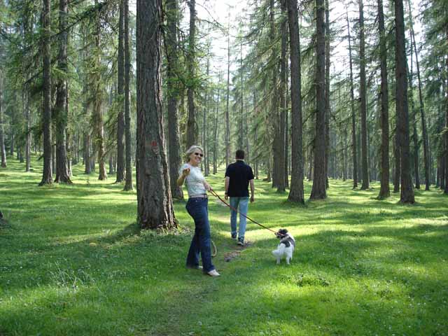Bild:Ehrwalder Laufwoche 2005