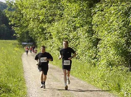 Bild:Isartaler Mailauf 2005