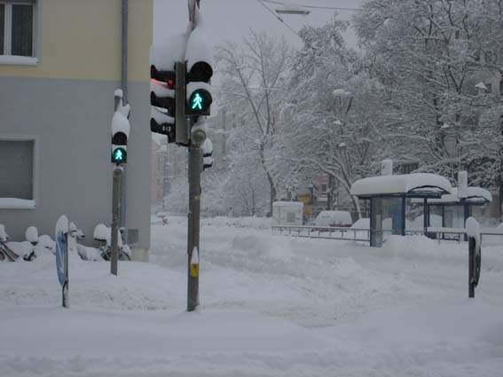 Bild:Schneechaos in Mnchen 2006