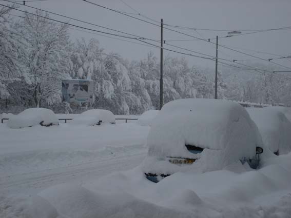 Bild:Schneechaos in Mnchen 2006