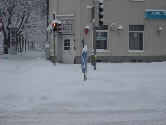 Bild:Schneechaos in Mnchen 2006