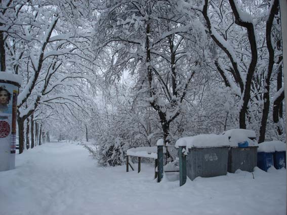 Bild:Schneechaos in Mnchen 2006