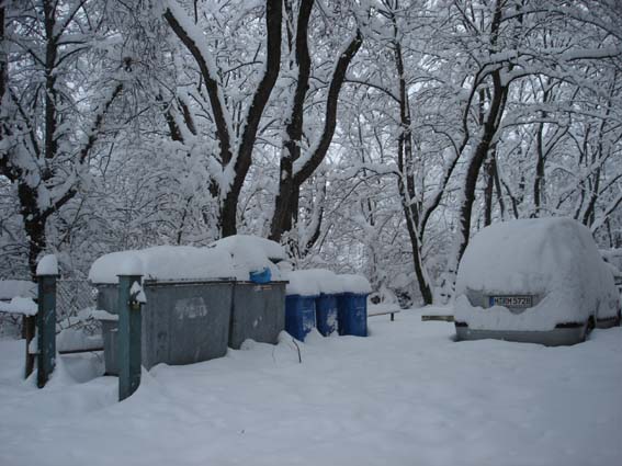 Bild:Schneechaos in Mnchen 2006