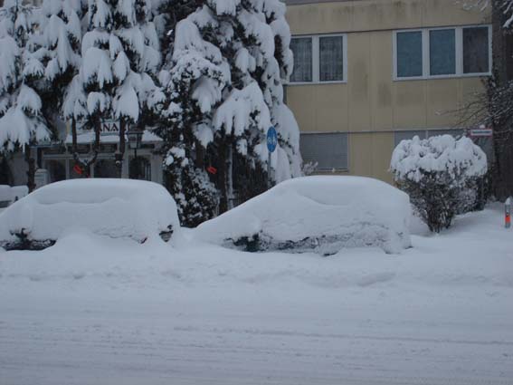 Bild:Schneechaos in Mnchen 2006