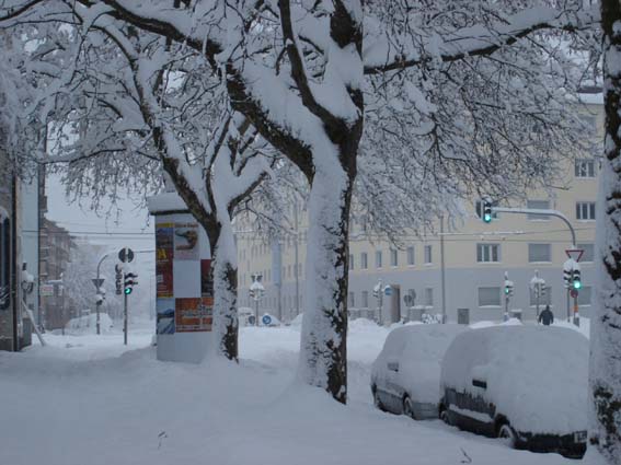 Bild:Schneechaos in Mnchen 2006