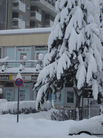 Bild:Schneechaos in Mnchen 2006