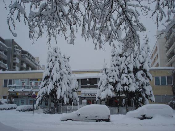Bild:Schneechaos in Mnchen 2006