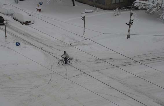 Bild:Schneechaos in Mnchen 2006