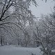 Bild:Winter in Mnchen