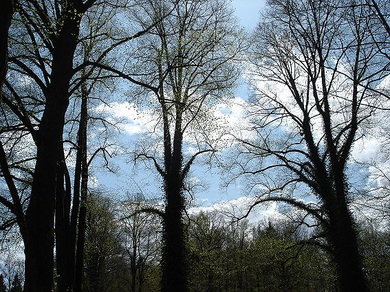 Bild:30. April 2008