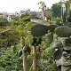 Bild:Urlaub auf Gran Canaria