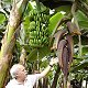 Bild:Urlaub auf Gran Canaria