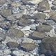 Bild:Urlaub in Berchtesgaden