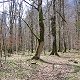 Bild:Urlaub in Berchtesgaden